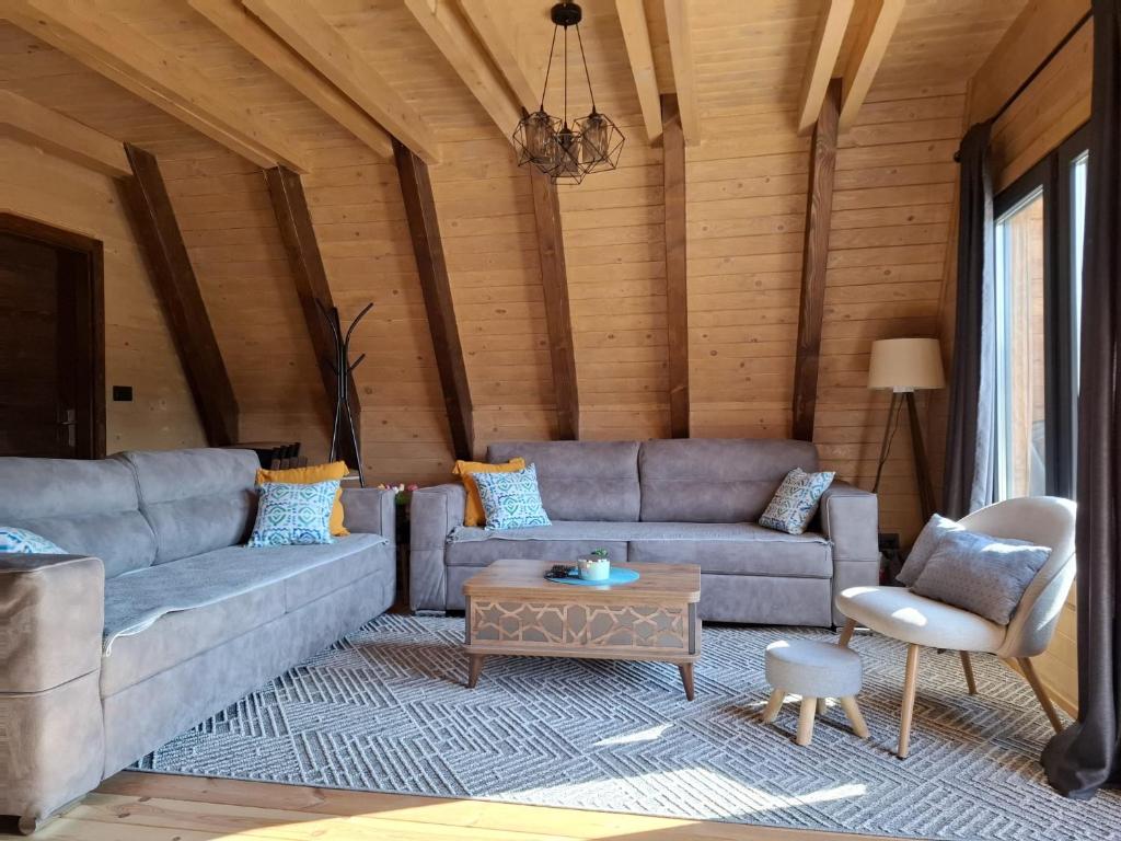 Spacious Living Room